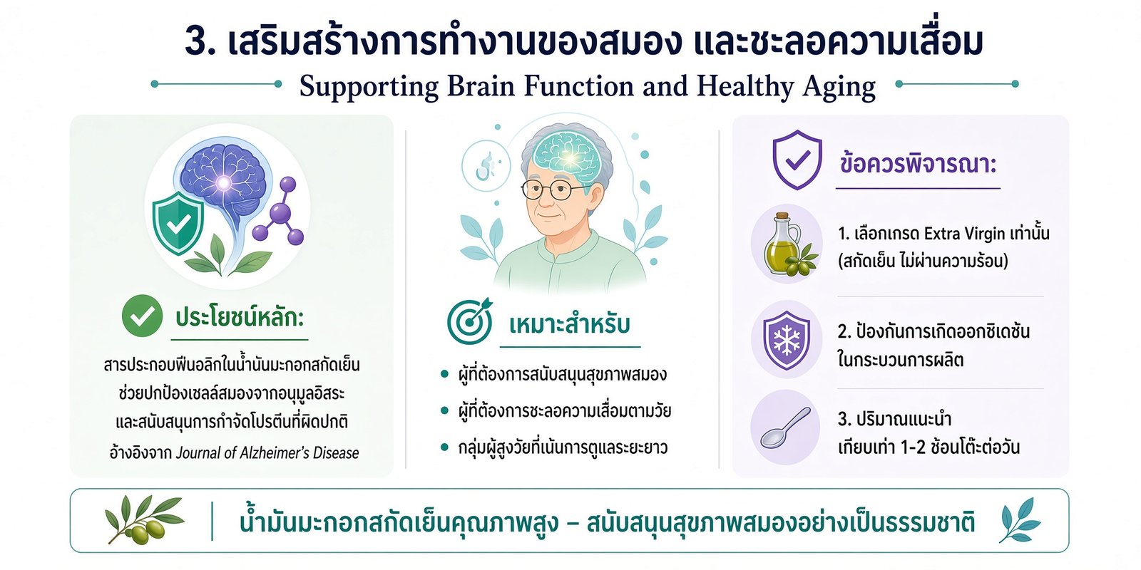 เสริมสร้างการทำงานของสมอง และชะลอความเสื่อม